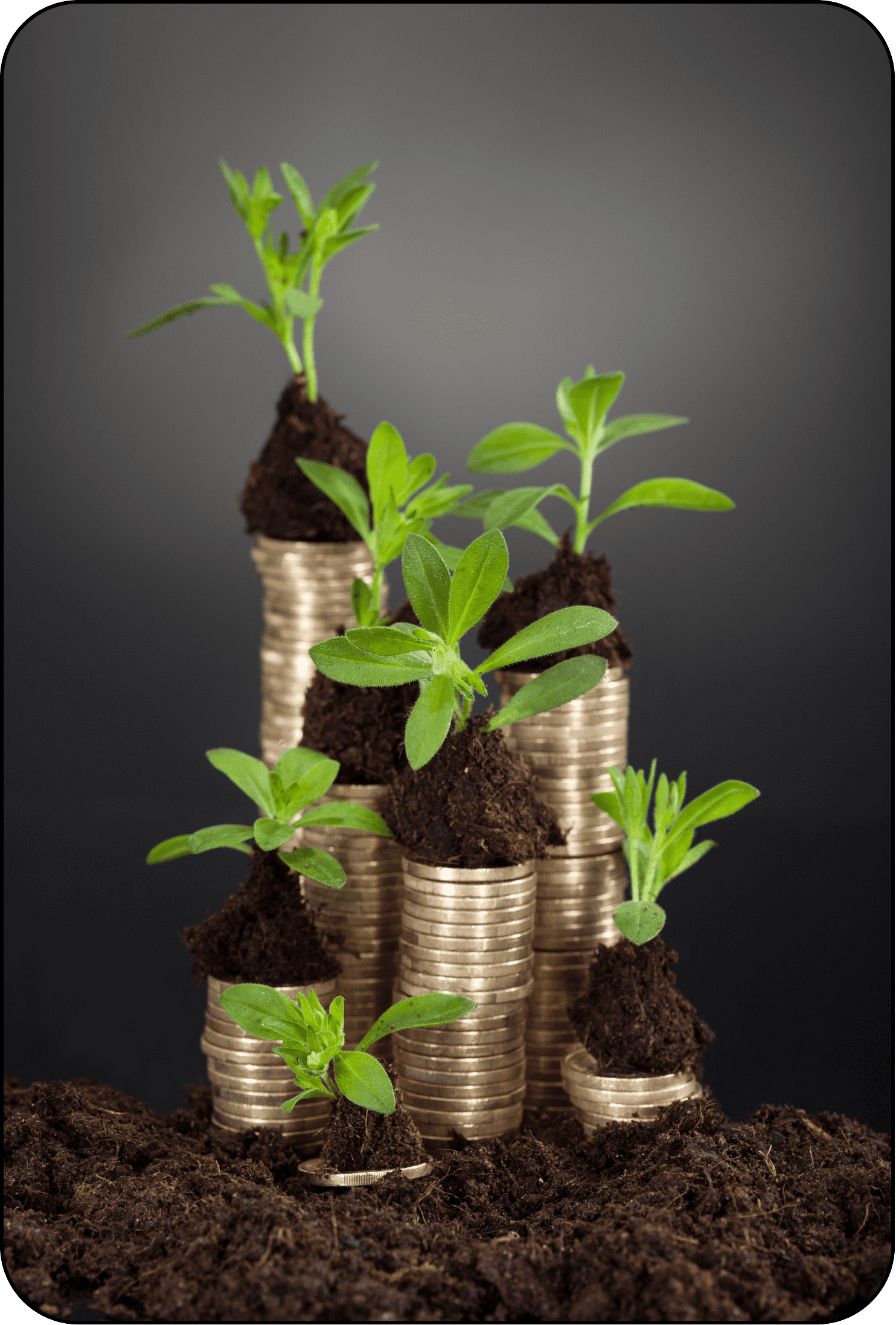 From Zero To Many - Online Course Funnel - Gwen Warren-32